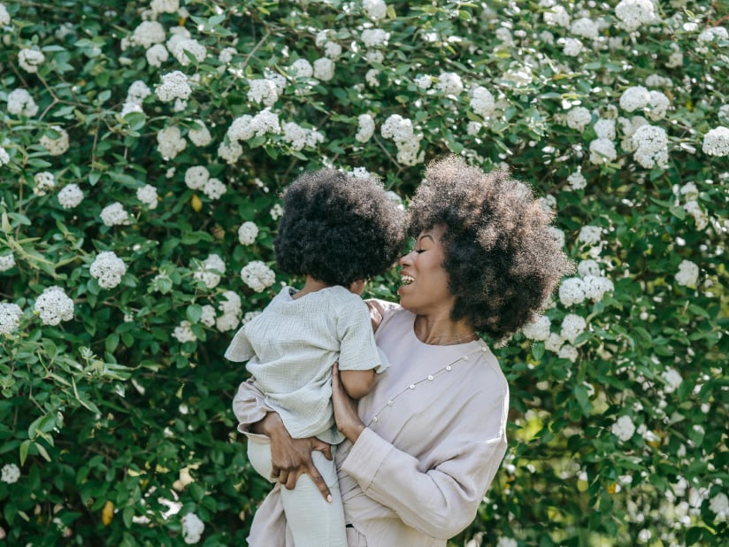 Landscape by design of Palmetto customer reviews