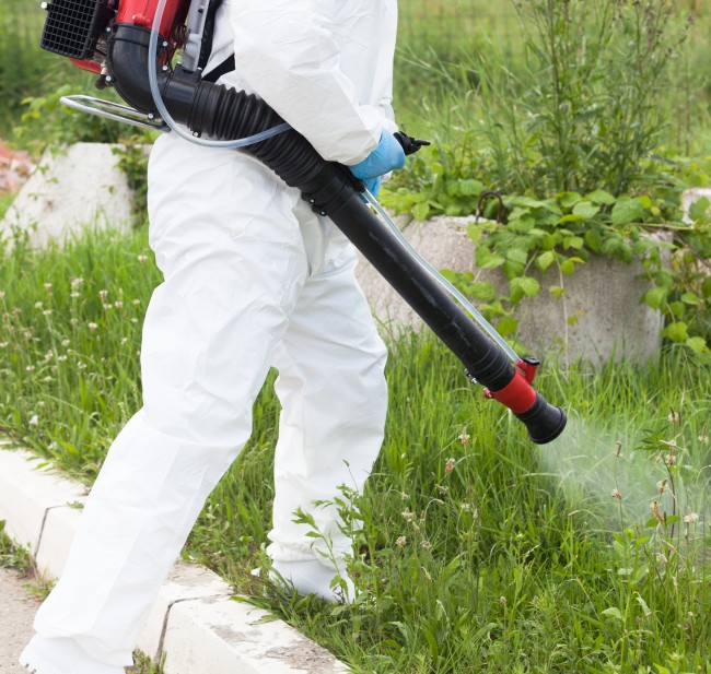 Landscape by design of Palmetto Pest Control